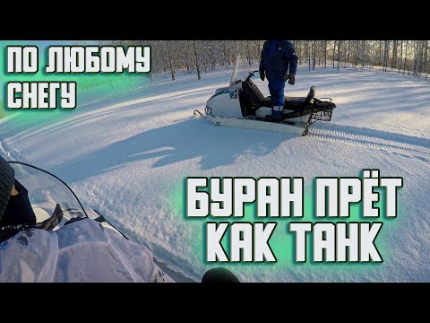 Видео: Настроили соосность вариаторов на снегоходе Буран. Как Буран поедет по глубокому снегу в лесу?