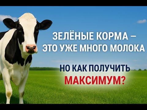 Видео: Зеленые корма-это уже много молока, но можно получать намного больше, если добавлять в рацион....