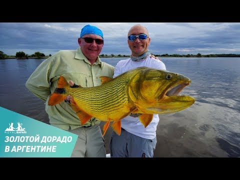 Видео: Ловля золотого дорадо в Аргентине