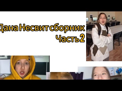 Видео: Дана Несвит сборник часть 2