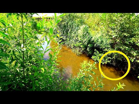 Видео: ПРИШЛИ К РЕКЕ ЗА ЗОЛОТОМ А ТАМ...   Коп с мд Gold Hunter Frogman B75