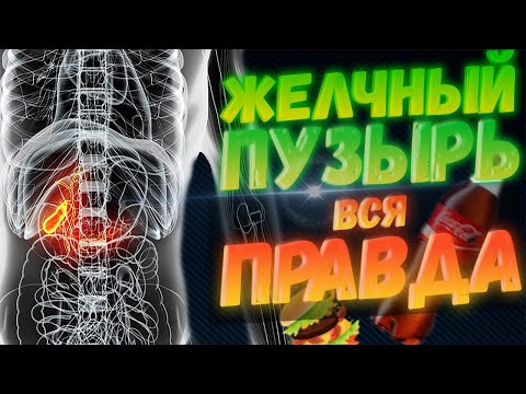 Видео: Желчный пузырь. Вся правда.