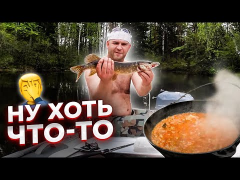 Видео: Приготовили щуку на костре. Запекаем ЦАРСКУЮ картошечку в углях. Отдых дикарями. Серия 2.