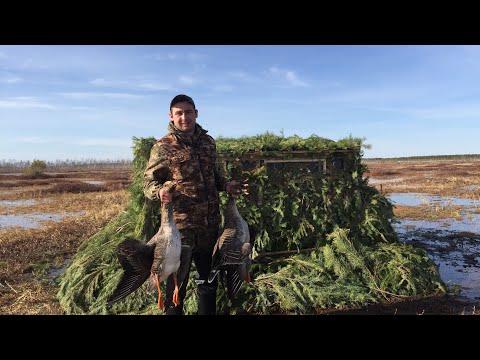 Видео: Заезжаем в тайгу с отцом на месяц . Охота на гусей 2024. Нашли новое шикарное болото.