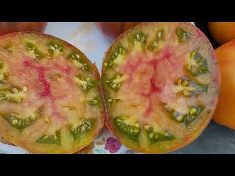 Видео: Обзор сортов томатов в разрезе.Красивые и очень вкусные сорта.