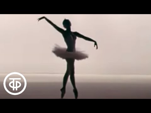 Видео: Камиль Сен-Санс. Лебедь. Танцует Майя Плисецкая. Swan. Maya Plisetskaya (1974)