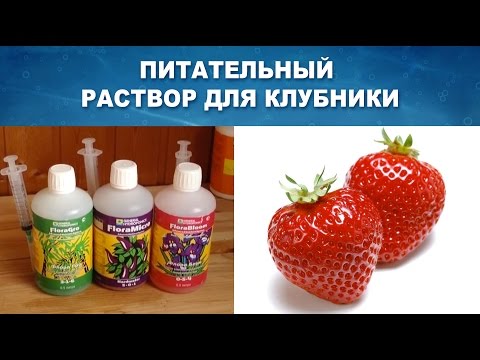 Видео: ПИТАТЕЛЬНЫЙ РАСТВОР ДЛЯ ВЫРАЩИВАНИЯ КЛУБНИКИ НА ГИДРОПОНИКЕ