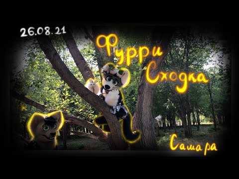 Видео: Фурсьют Прогулка|Самара|Furry Jam