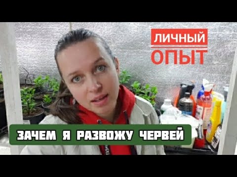 Видео: ЧЕРВИ в доме, БИОГУМУС для сада | Производство биогумуса по силам каждому