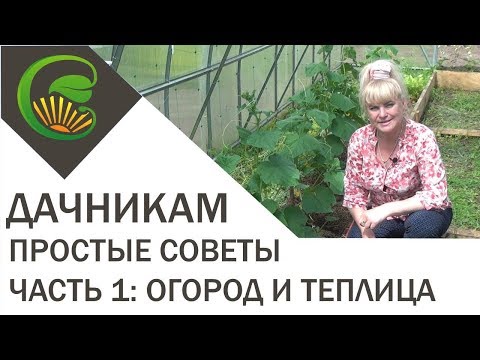 Видео: Простые советы дачникам. Часть первая: огород и теплица