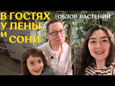 Видео: обзор РАСТЕНИЙ у цветочного БЛОГЕРА @lazygreedy ЕЛЕНЫ | стильное РАЗМЕЩЕНИЕ растений В ИНТЕРЬЕРЕ