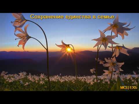 Видео: "Сохранение единства в семье". А. Горбунов. Проповедь. МСЦ ЕХБ