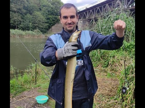 Видео: Где лучше ловить рыбу в Германии или в Франции