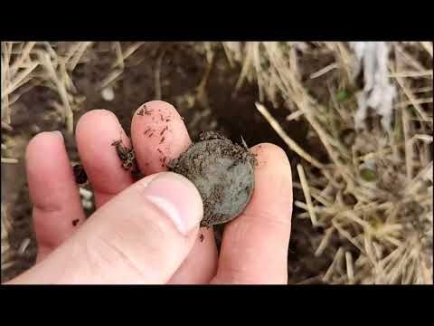 Видео: Уржум. В поисках урочища