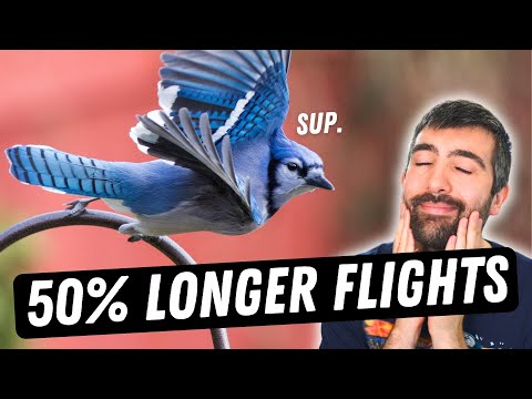 Видео: МАКСИМАЛЬНЫЕ настройки ESC для Tiny Whoops!