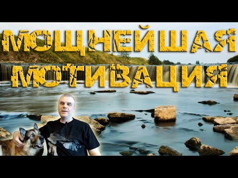 Видео: Мотивация на дрессировку собаки / Кинология / Зоопсихология