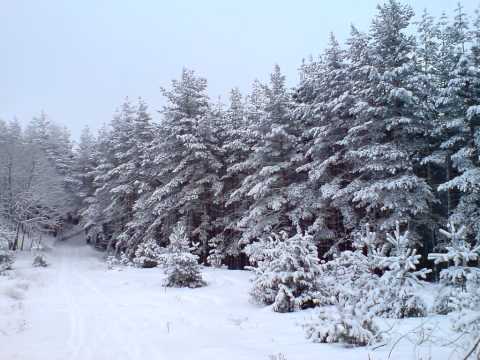 Видео: До връх Острец край Велинград