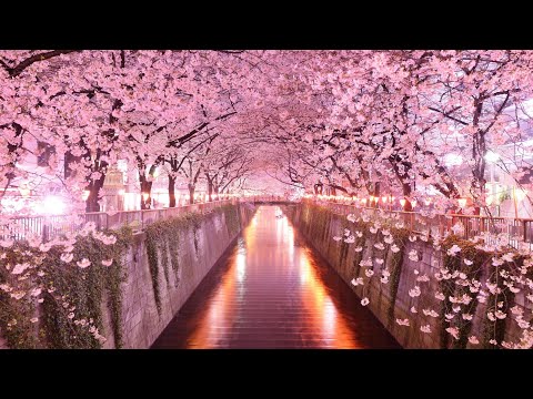 Видео: СЛУХИ И РАЗГОВОРЫ ЗА ВАШЕЙ СПИНОЙ 🤡 #тарослухи