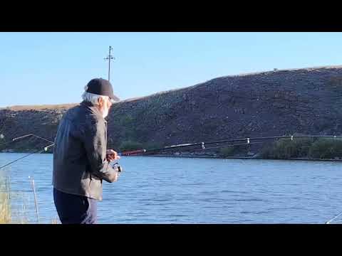 Видео: Рыбалка и  не только, мысли в слух и т д