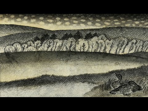 Видео: Выделка и работа с рыбьей кожей