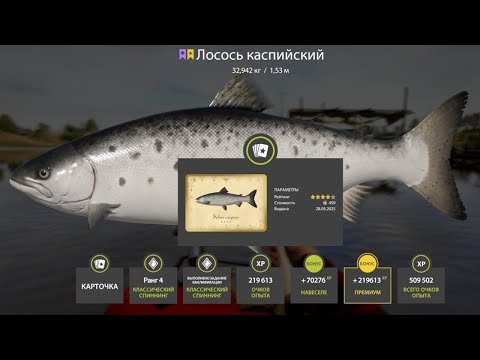 Видео: 📢СТРИМ РР4🔥НА РЫБАЛОЧКУ ПЯТНИЧНЫМ ВЕЧЕРОМ🔥РУССКАЯ РЫБАЛКА 4