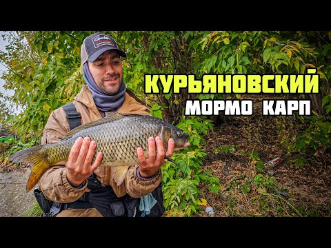 Видео: Мормышинг с НАВАХО NA45-612F-S | Лещи и жирный курьяновский карп