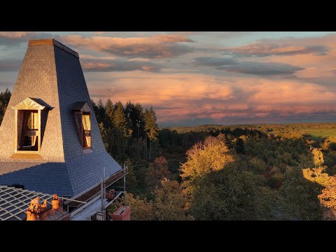 Видео: Неожиданные поступления, ВСЮ НЕДЕЛЮ!