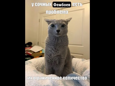 Видео: Показываю анскилл бардом под лободу