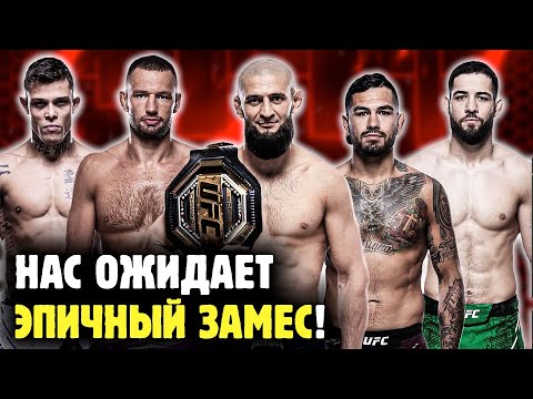 Видео: ПОЧЕМУ СРЕДНИЙ ВЕС UFC САМЫЙ ОХУ$%НЫЙ ПРЯМО СЕЙЧАС?! Обзор от Яниса