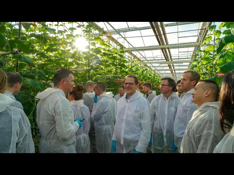 Видео: Агрохимия, пятничный стрим