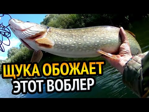 Видео: Ловля Щуки Сплавом на  Воблера от BEARKING. Этот воблер щука обожает.