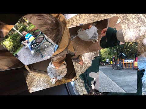 Видео: Втора седмица на ясла | Без вода цял ден😩 | Влог 25