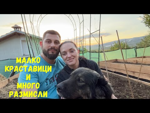 Видео: ЖИВОТ НА СЕЛО: Спокоен ден в градината | Арка за краставици и разговори