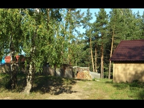 Видео: Сосновка проездом