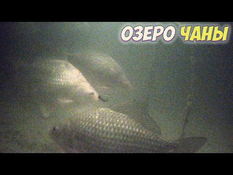 Видео: ПОД ВОДОЙ РЫБЫ КИШИТ !!! ЗИМНЯЯ РЫБАЛКА НА КАРАСЯ С НОЧЕВКОЙ