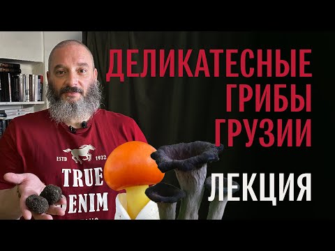 Видео: Деликатесные грибы Грузии. Михаил Вишневский. Лекция в Тбилиси