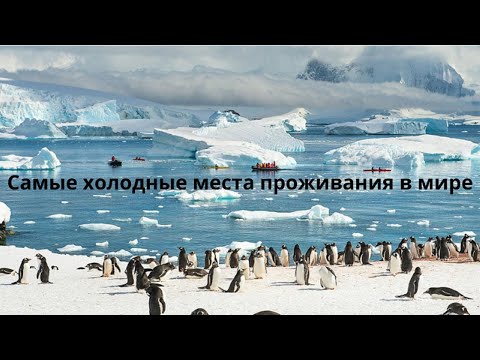 Видео: Самые холодные места для проживания в мире #Самыехолодныеместа#Якутия#мороз#планетаЗемля#антарктида