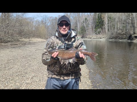 Видео: Река Бикин весна 2023 года.