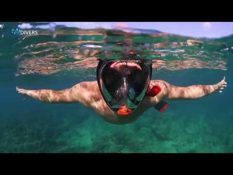 Видео: Полнолицевая маска для снорклинга: дешевая или дорогая? Tribord против OceanReef!