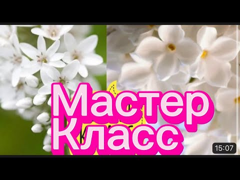 Видео: Смогут все! Самые простые цветы без инструментов/Учимся делать цветы для композиций/секреты