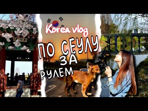 Видео: Олимпийский парк и ночная прогулка за рулем по Сеулу/KOREA VLOG