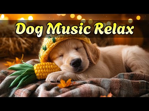 Видео: Успокаивающая музыка для собак 🐶 Помогает заснуть, снять тревогу и расслабиться 💕