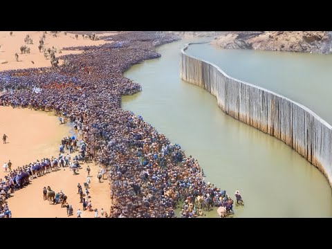 Видео: Эта Крупнейшая Река Больше не Будет Попадать в Пустыню Сахара и Вот Почему