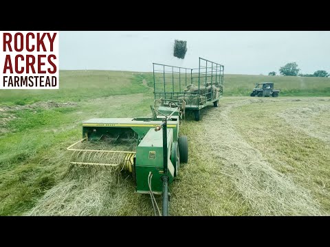 Видео: Первые тюки с John Deere 5100E и 336! Сезон сена 2021!