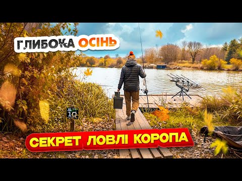 Видео: Холодна вода і як піймати трофейного КОРОПА!? Осінній карпфішинг