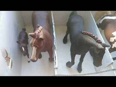 Видео: Обзор на КСК Schleich, КСК Созвездие