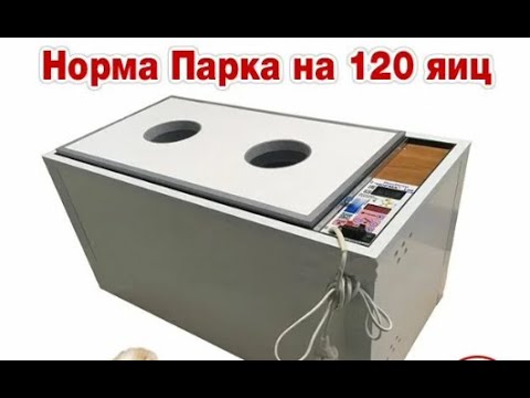 Видео: Инкубатор Норма "Парка" ,ремонт !