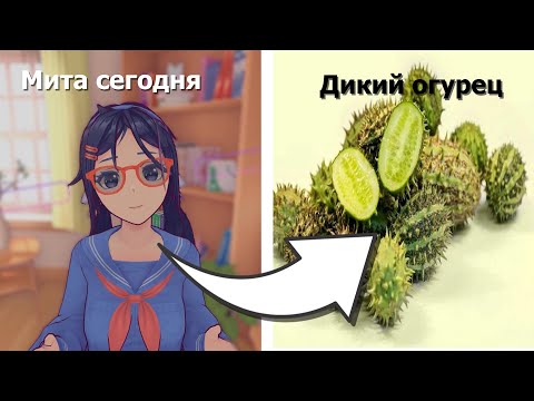 Видео: Дикий Мита огурец (немонтаж)