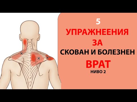 Видео: НАЙ-ДОБРИТЕ УПРАЖНЕНИЯ ЗА СКОВАН И БОЛЕЗНЕН ВРАТ