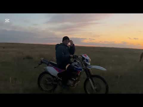 Видео: За два дня прошли примерно около 20 км . #айгыр #лошадки #коневодство #жылкы #лошади #интересно #